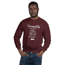 Load image into Gallery viewer, 69. TRANQUILITY CMG - Men's Sweatshirt