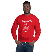 Load image into Gallery viewer, 69. TRANQUILITY CMG - Men's Sweatshirt
