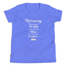 Load image into Gallery viewer, 71. HARMONY CMG - Youth T-Shirt
