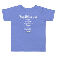 Load image into Gallery viewer, 105. RIGHTEOUSNESS CMG - Toddler T-Shirt
