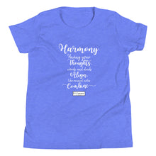 Load image into Gallery viewer, 71. HARMONY CMG - Youth T-Shirt
