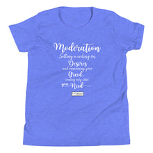 Load image into Gallery viewer, 86. MODERATION CMG - Youth T-Shirt
