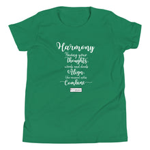 Load image into Gallery viewer, 71. HARMONY CMG - Youth T-Shirt
